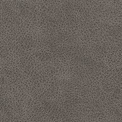 WhipLash Living Room Set