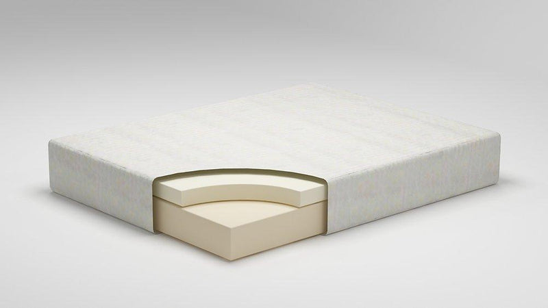 Chime 12 Inch Plush Memory Foam Mattress in a Box [ONLINE ONLY SALE!]