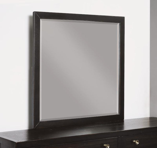 Flexsteel Wynwood Cologne Mirror in Dark Brown