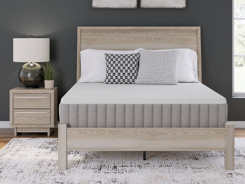 Terra Sleep Medium Mattress in a Box [ONLINE ONLY SALE!]