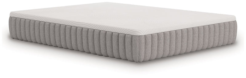 Terra Sleep Medium Mattress in a Box [ONLINE ONLY SALE!]